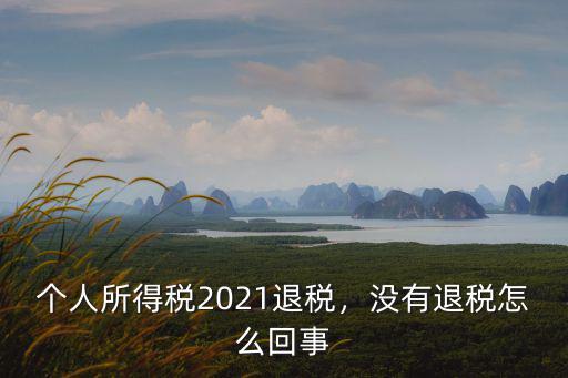 武漢個稅退稅不退怎么樣,個稅退稅的問題