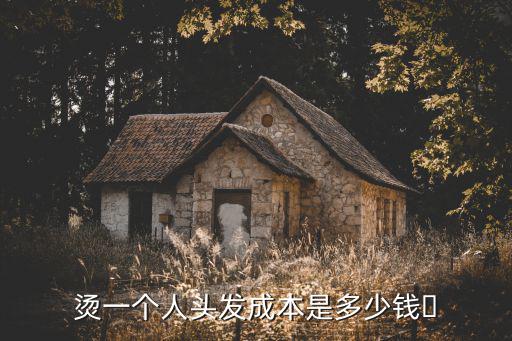 燙一個(gè)人頭發(fā)成本是多少錢?
