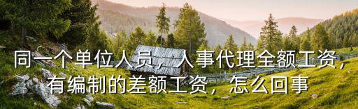 同一個單位人員，人事代理全額工資，有編制的差額工資，怎么回事
