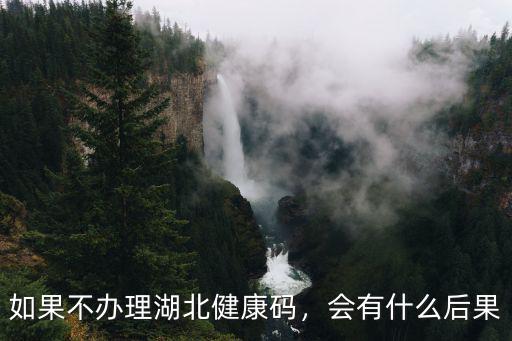 如果不辦理湖北健康碼，會有什么后果
