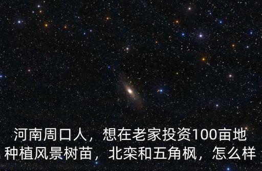 河南周口的地怎么種收入高,在河南周口的農(nóng)村