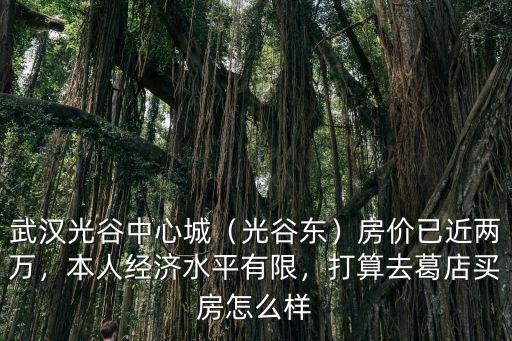 武漢光谷中心城（光谷東）房價已近兩萬，本人經濟水平有限，打算去葛店買房怎么樣