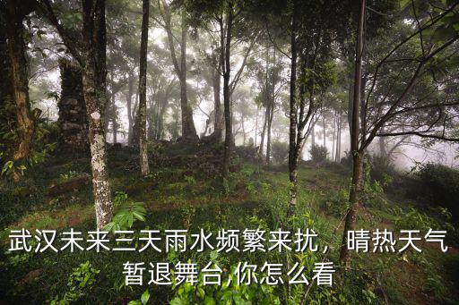武漢天氣預報怎么點播,你怎么看待武漢的天氣