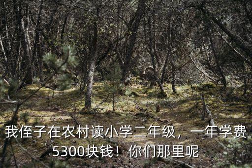 張家口市小學一年學費多少錢,一年學費5300塊錢