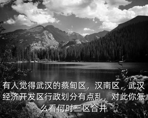 武漢怎么劃分區的,漢口屬于武漢哪個區的