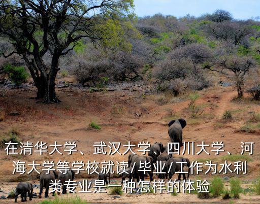 四川大學的水利類在哪里,四川大學的水利專業怎么樣