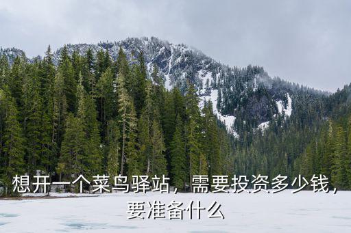 合肥菜鳥驛站怎么申請開店多少錢,想開一個菜鳥驛站