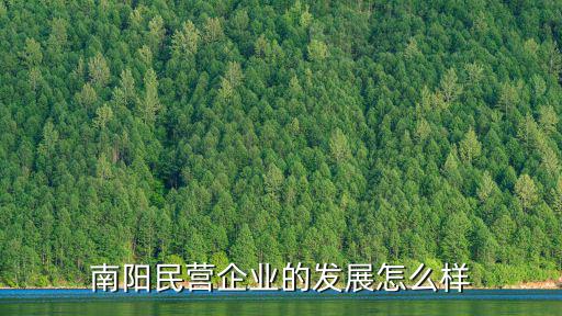 南陽民營企業(yè)的發(fā)展怎么樣