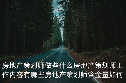 四川房地產策劃師在哪里考試,房地產策劃師做些什么