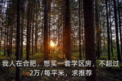 我人在合肥，想買一套學區房，不超過2萬/每平米，求推薦