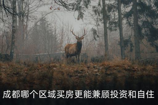 成都哪個區域買房更能兼顧投資和自住