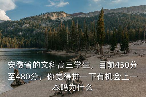 安徽省的文科高三學生，目前450分至480分，你覺得拼一下有機會上一本嗎為什么