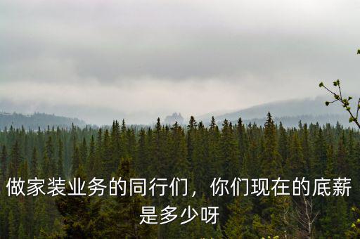 做家裝業務的同行們，你們現在的底薪是多少呀