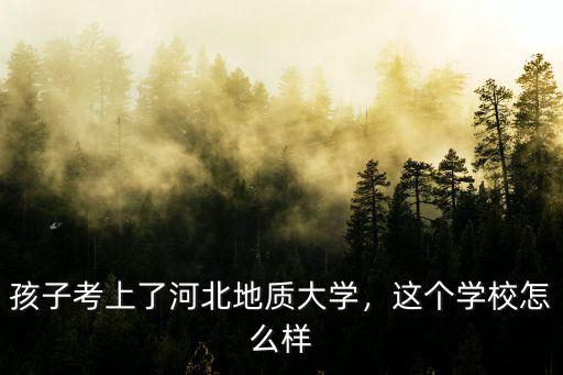 孩子考上了河北地質大學，這個學校怎么樣