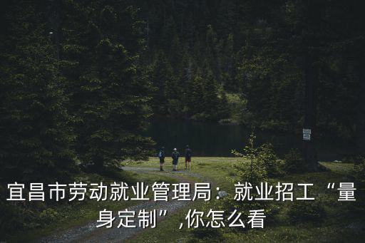 宜昌市?V亭區(qū)勞動就業(yè)管理局怎么樣,宜昌市勞動就業(yè)管理局