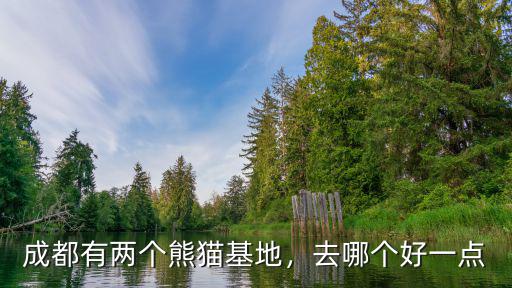 熊貓基地在哪里成都,成都的大熊貓基地在哪里