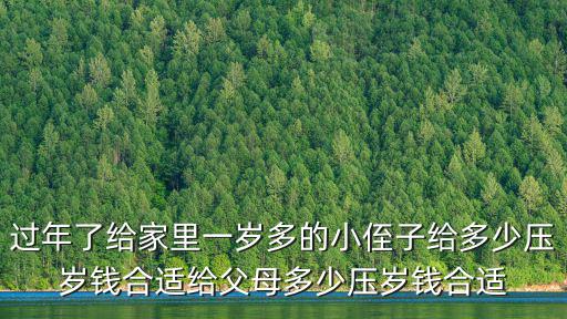 河南侄子多少壓歲錢,一人給多少壓歲錢合適