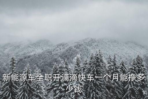宿州跑滴滴一個月能掙多少錢,一個月能掙多少錢