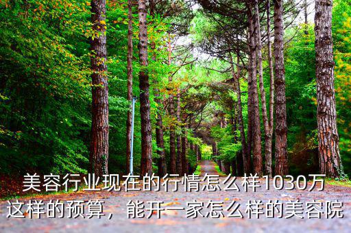 黃石開個美容院怎么樣,開個美容店怎么樣