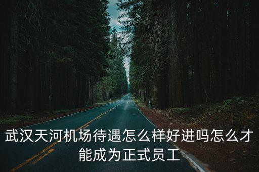 武漢機(jī)場機(jī)坪工作怎么樣,武漢天河機(jī)場待遇怎么樣