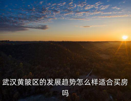 武漢勝達怎么樣值得買嗎,武漢的寫字樓還值得買嗎