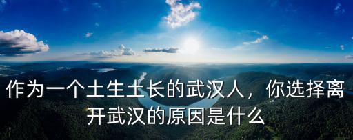 武漢黃某某怎么離開武漢的,你選擇離開武漢的原因是什么