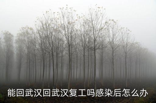 能回武漢回武漢復工嗎感染后怎么辦