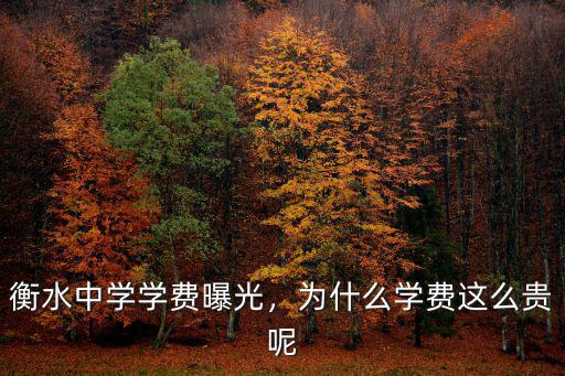衡水中學(xué)學(xué)費(fèi)曝光，為什么學(xué)費(fèi)這么貴呢