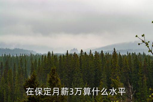 在保定月薪3萬算什么水平