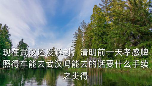 現(xiàn)在武漢還沒解封，清明前一天孝感牌照得車能去武漢嗎能去的話要什么手續(xù)之類得