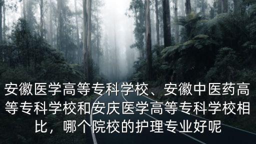 安慶醫藥高等專科學校高考多少分,安慶醫藥高等專科學校如何