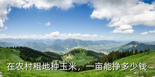 在農村租地種玉米，一畝能掙多少錢