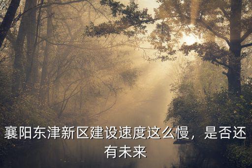 襄陽東津唐莊1組會怎么規劃,襄陽城市規劃怎么樣