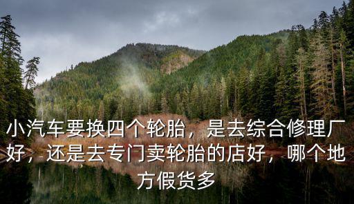 小汽車要換四個輪胎，是去綜合修理廠好，還是去專門賣輪胎的店好，哪個地方假貨多