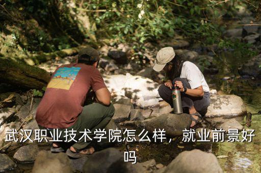 武漢市第二技術學校怎么樣,武漢職業技術學院怎么樣