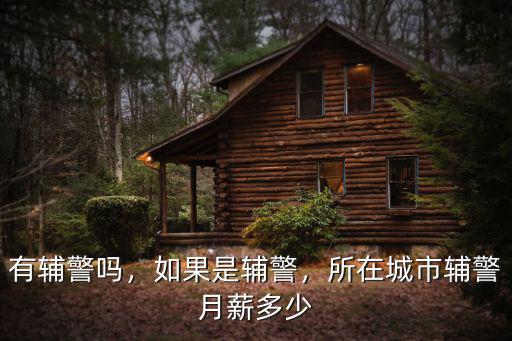 蕪湖輔警一個(gè)月多少錢,榆林輔警工資多少