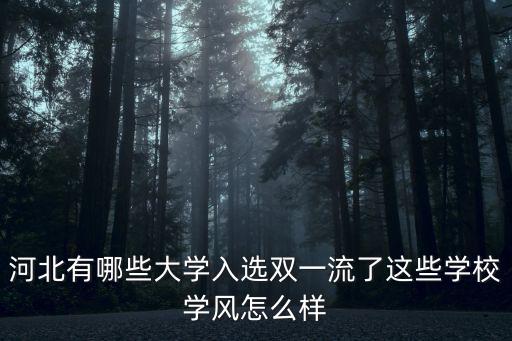 河北的一流大學有多少,河北有哪些大學入選雙一流了