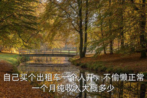 自己買個出租車一個人開，不偷懶正常一個月純收入大概多少