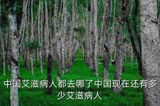安徽省現在有多少艾滋病人,中國現在還有多少艾滋病人