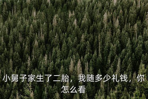 邯鄲小舅子生小孩隨多少錢,生小孩通常隨多少份子錢合適
