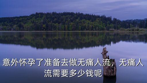 石家莊平安醫(yī)院無(wú)痛人流多少錢,無(wú)痛人流需要多少錢呢