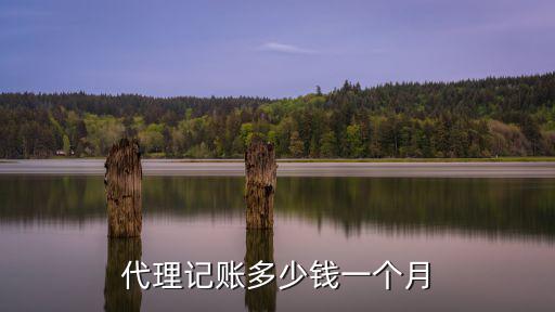 廊坊市區代理記賬公司多少錢,代理記賬多少錢一個月