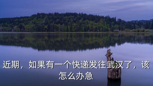 印度寄武漢的快遞卡了怎么辦,湖北的快遞發(fā)不出去怎么辦