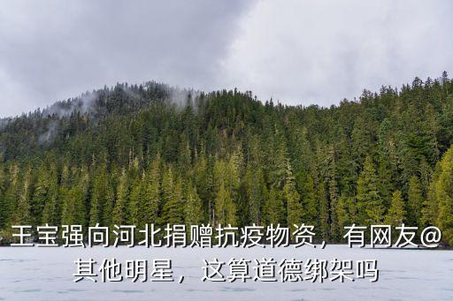 王寶強向河北捐贈抗疫物資，有網友@其他明星，這算道德綁架嗎