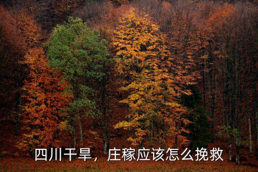四川干旱，莊稼應該怎么挽救