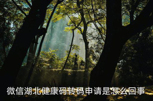微信湖北健康碼轉碼申請是怎么回事