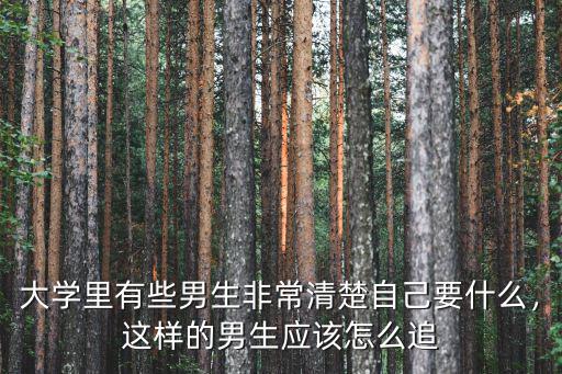 武漢大學男生怎么追,怎么追一個男生啊