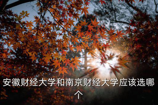 安徽財(cái)經(jīng)大學(xué)和南京財(cái)經(jīng)大學(xué)應(yīng)該選哪個(gè)