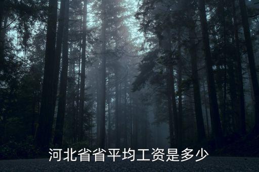 河北省省平均工資是多少