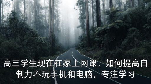 高三學生現在在家上網課，如何提高自制力不玩手機和電腦，專注學習